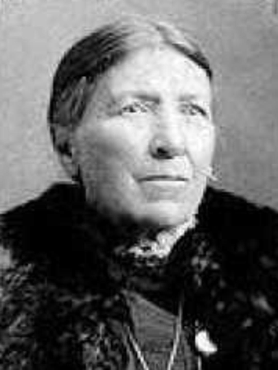 Rachel Almira Caldwell (1846 - 1919) Profile